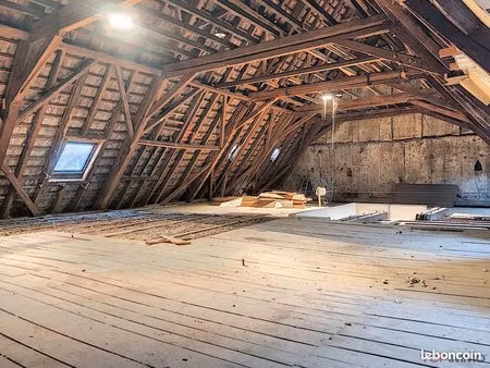 immeuble 550 m² colmar