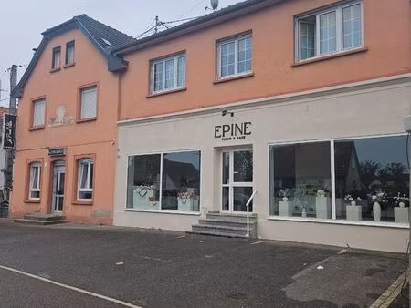 immeuble kaligone 230m²