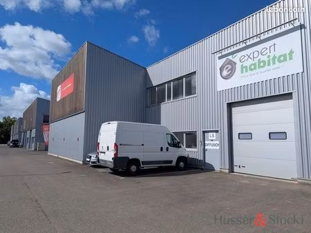bureaux 262 m² schiltigheim