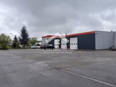 local 1800 m² wittenheim