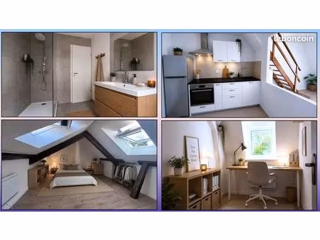 superbe t3 duplex de 55 m² traversant refait à neuf