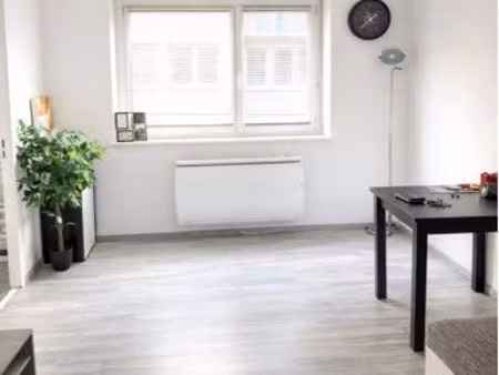 f2 entièrement rénové dans résidence très calme