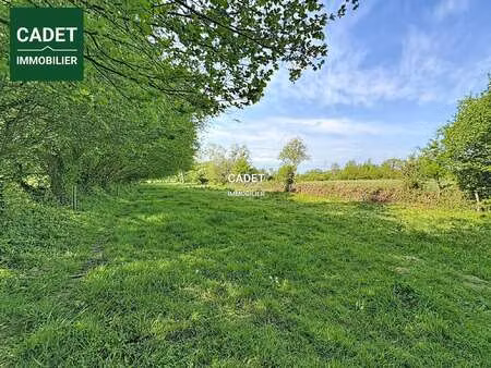 vente terrain au tanu (50320) : à vendre / 3185m² le tanu