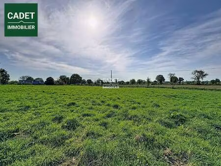 vente terrain au tanu (50320) : à vendre / 3840m² le tanu