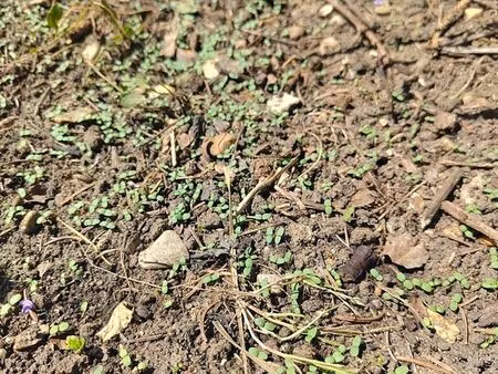 [cherche] terrain pour potager