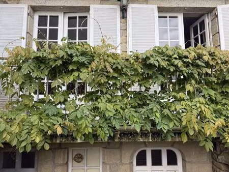 vente maison à auray (56400) : à vendre / 157m² auray