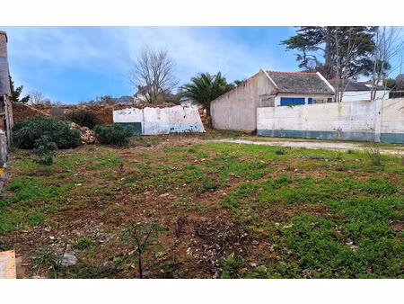 terrain trébeurden m² t- à vendre  54 600 €