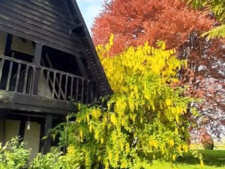 propriété de charme sur 3 8 ha – longère rénovée  gîte indépendant et dépendances – pays d