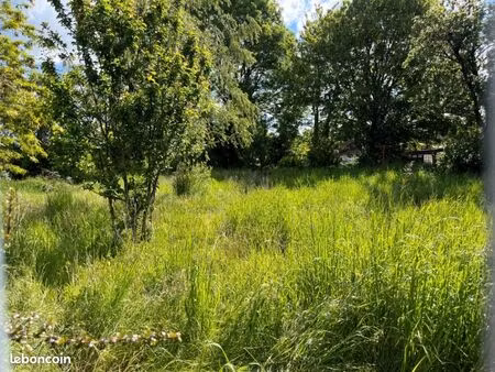 terrain 1 059 m² cambron