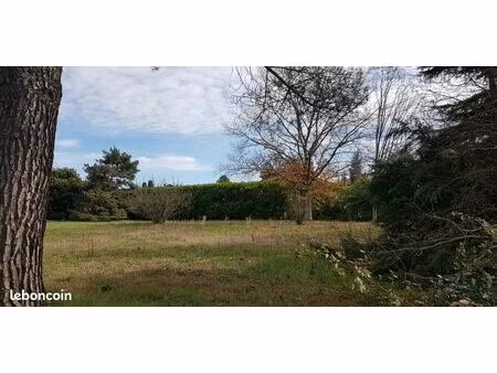 lavaur (81500) terrain constructible en hyper-centre