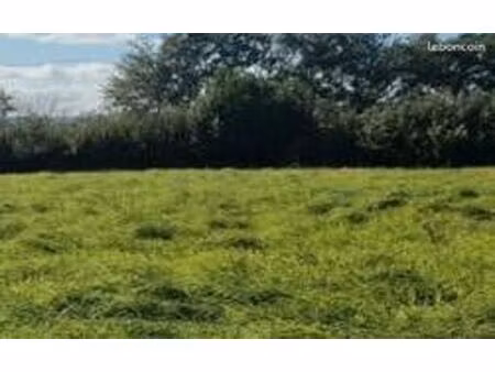 terrain agricole ou de loisir