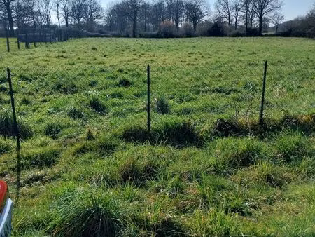 terrain constructible