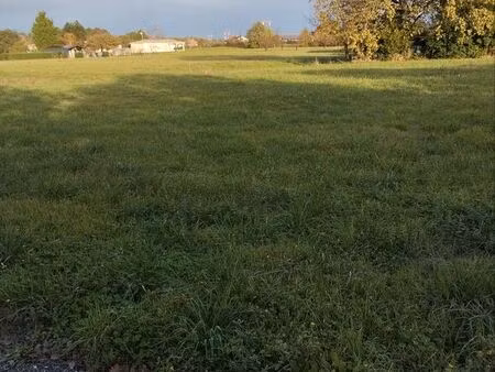terrain constructible