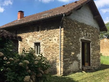 maison en pierre à finir de rénover avec grand terrain + bois