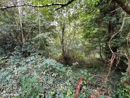 terrain 8 920 m² saint priest taurion