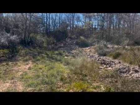 terrain a louer de 250 m2 a 500 m2 sur la commune de la roquebrussanne ( var )