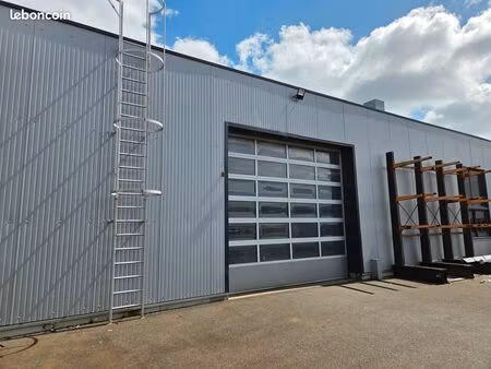 local 542m² montaigu-vende