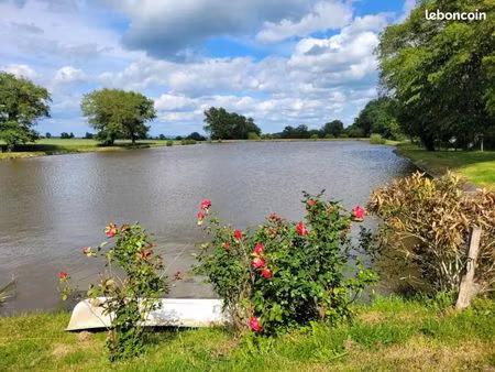 terrain 11 531 m² huriel