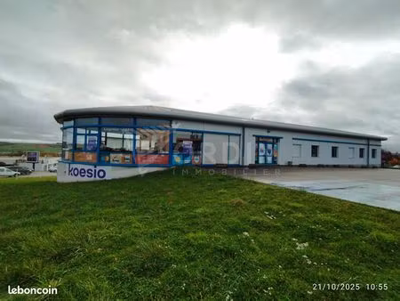 local 1323 m² auxerre