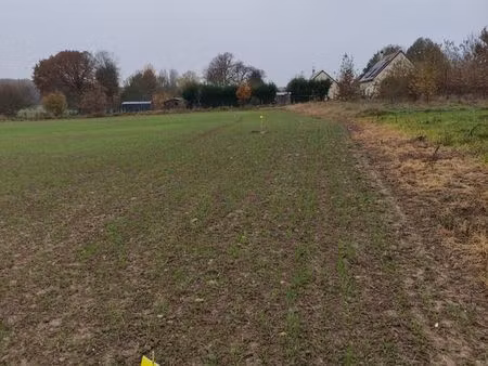 terrain constructible st serotin