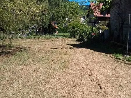 terrain constructible a vescemont de 616m²