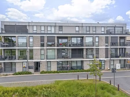 appartement à vendre à groot-bijgaarden € 385.000 (lobzl) - living stone dilbeek | zimmo