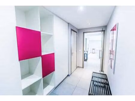 magnifique penthouse 2 chambres avec grande terrasse
