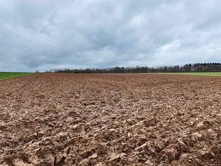 terrain à vendre à héron € 1.667.000 (lobjr) - comptoir foncier | zimmo