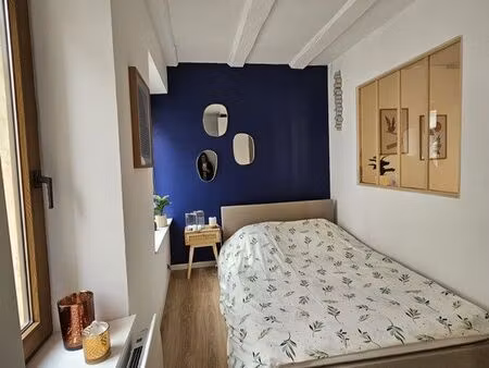 charmant appartement t2 en plein centre de mulhouse
