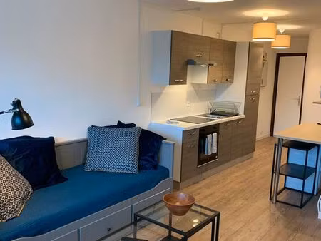 studio meuble 28 m² balcon sur jardin orleans