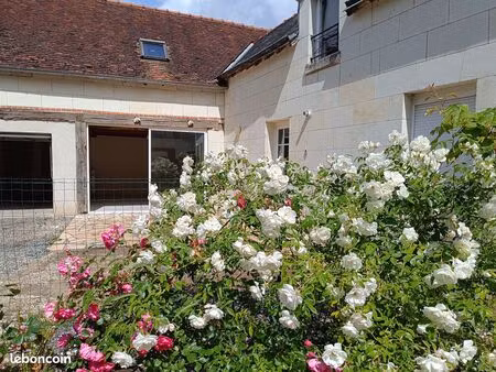 maison avec jardin