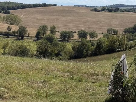 terrain