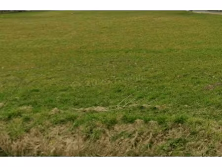 vente terrain à saffré (44390) : à vendre / saffré