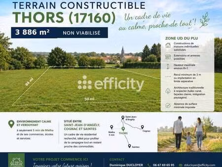 vente terrain à thors (17160) : à vendre / 3886m² thors