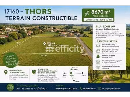 vente terrain à thors (17160) : à vendre / 8670m² thors