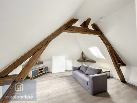 appartement en duplex meuble a troyes - 3 pièces