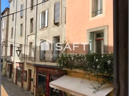 vente maison 26 pièces 590 m² lodève (34700)