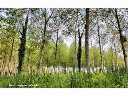 terrains boisés megrit 11740 m2