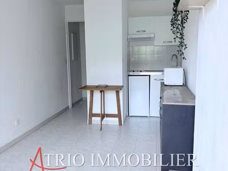 studio 1 pièce 20 m²