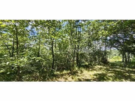 forêt 1 428 m² montdurausse