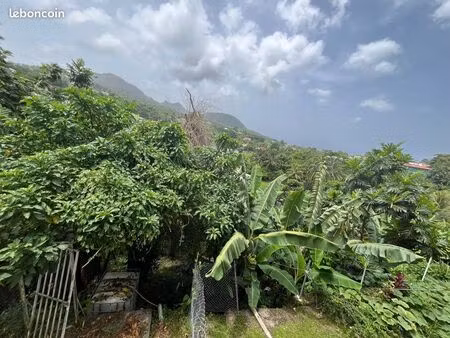 terrain en pente arboré 800m2 avec cours d’eau