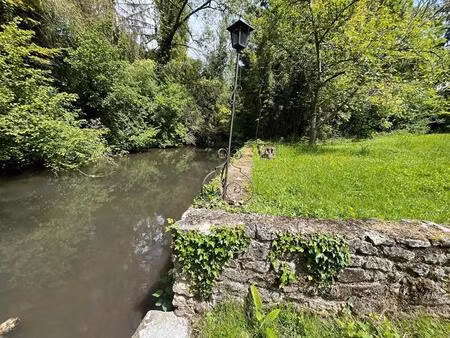 ensemble immobilier d'exception à saclas ? bord de rivière - 2 maisons