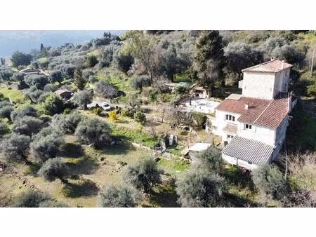 maison provençale au milieu des oliviers