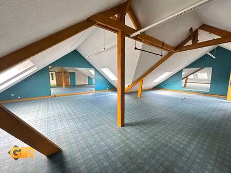 vente immeuble à montfort-sur-meu (35160) : à vendre / 244m² montfort-sur-meu