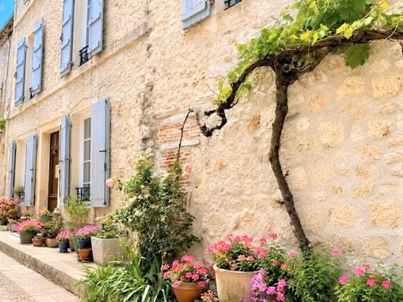 magnifique maison en pierre - 4 chambres - 9 pièces - tournon d'agenais (en lot-et-garonne