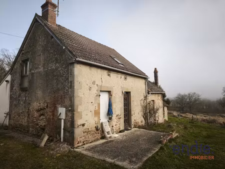 vente maison 5 pièces 98 m² à theneuille (03350)  71 000 €