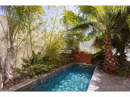 achat maison 11 pièces 374m² villeneuve de la raho 66180