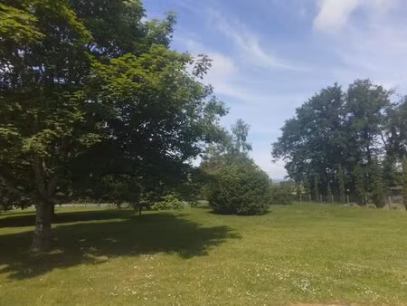 terrain
