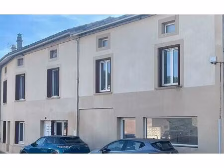 achat immeuble 255m² peyrins 26380