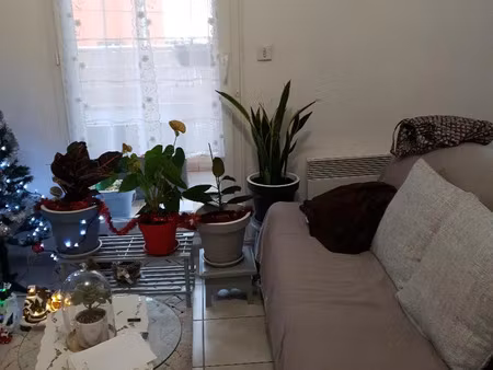 vente appartement 1 pièce 42 m² narbonne (11100)